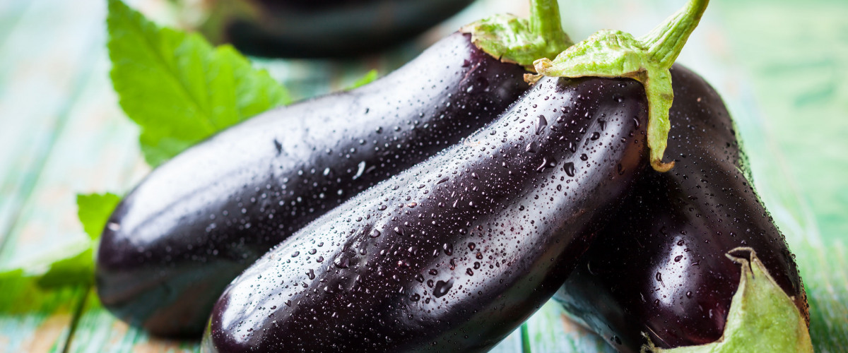 under eggplant undercover eggplant oneonta new york reviews